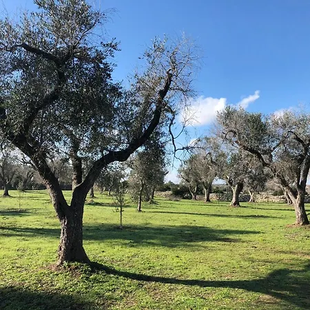 Bed & Breakfast Terecate Experimental Relais 4*