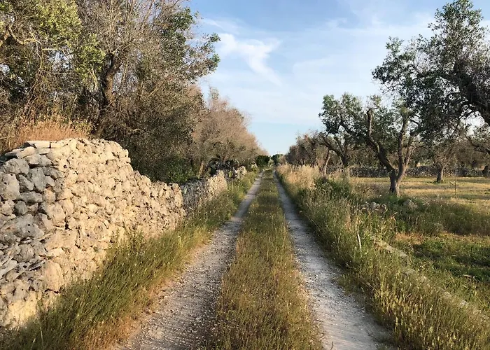 B&B Terecate Experimental Relais